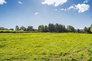 Grounds- click for photo gallery